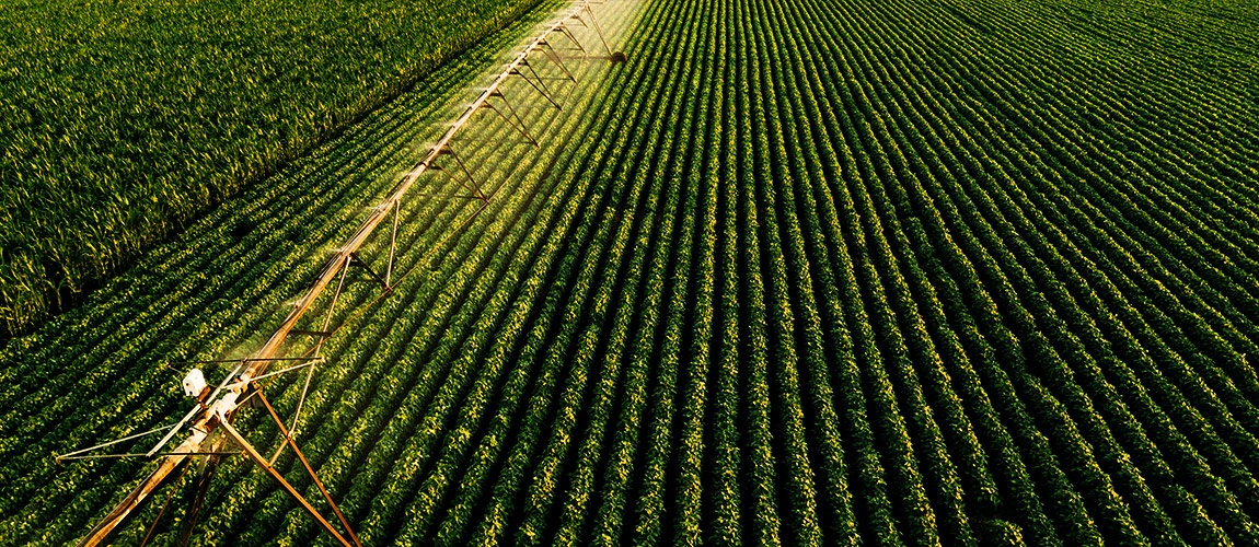 Torres Anemométricas para o Setor Agrícola