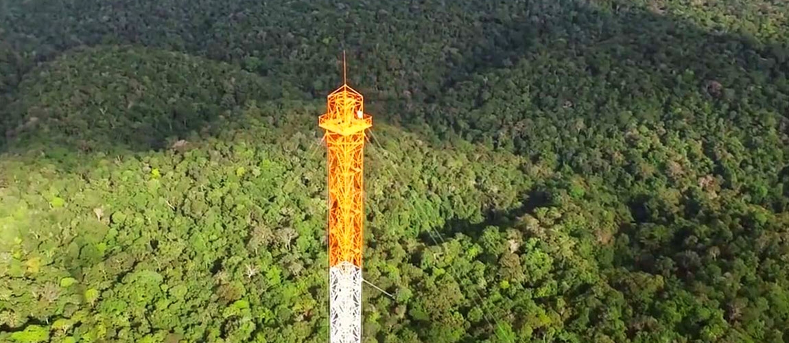 Torre florestal: gigante para quem vê; imensurável para quem opera!